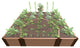 Classic Sienna Walk-In Cathedral 8'x8'x16.5" Raised Garden Bed, 2" Profile
