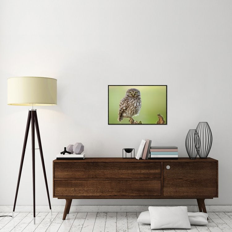 "The Watcher" Framed Canvas Giclee by Kenny De Boeck, 31x21"