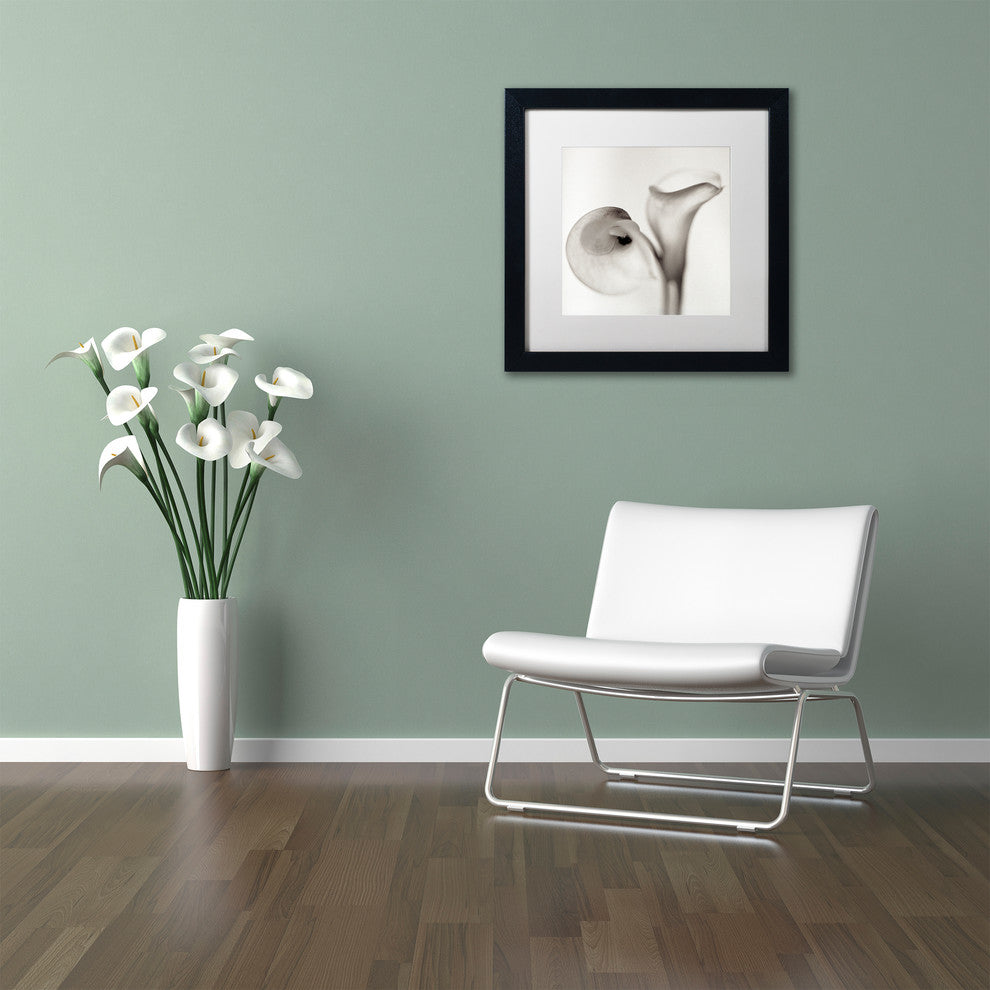 Alan Blaustein ''Florison 35'' Art, Black Frame, White Mat, 11x11