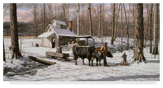 William Breedon 'Sugar Shack' Canvas Art, 19"x10"