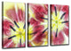 Ready2HangArt 'Tulips' 3-Piece Canvas Wall Decor Set, 60"x40"