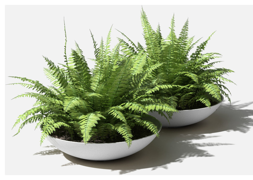 Lane Round Planter Bowl, White, 32'', 2 Pack
