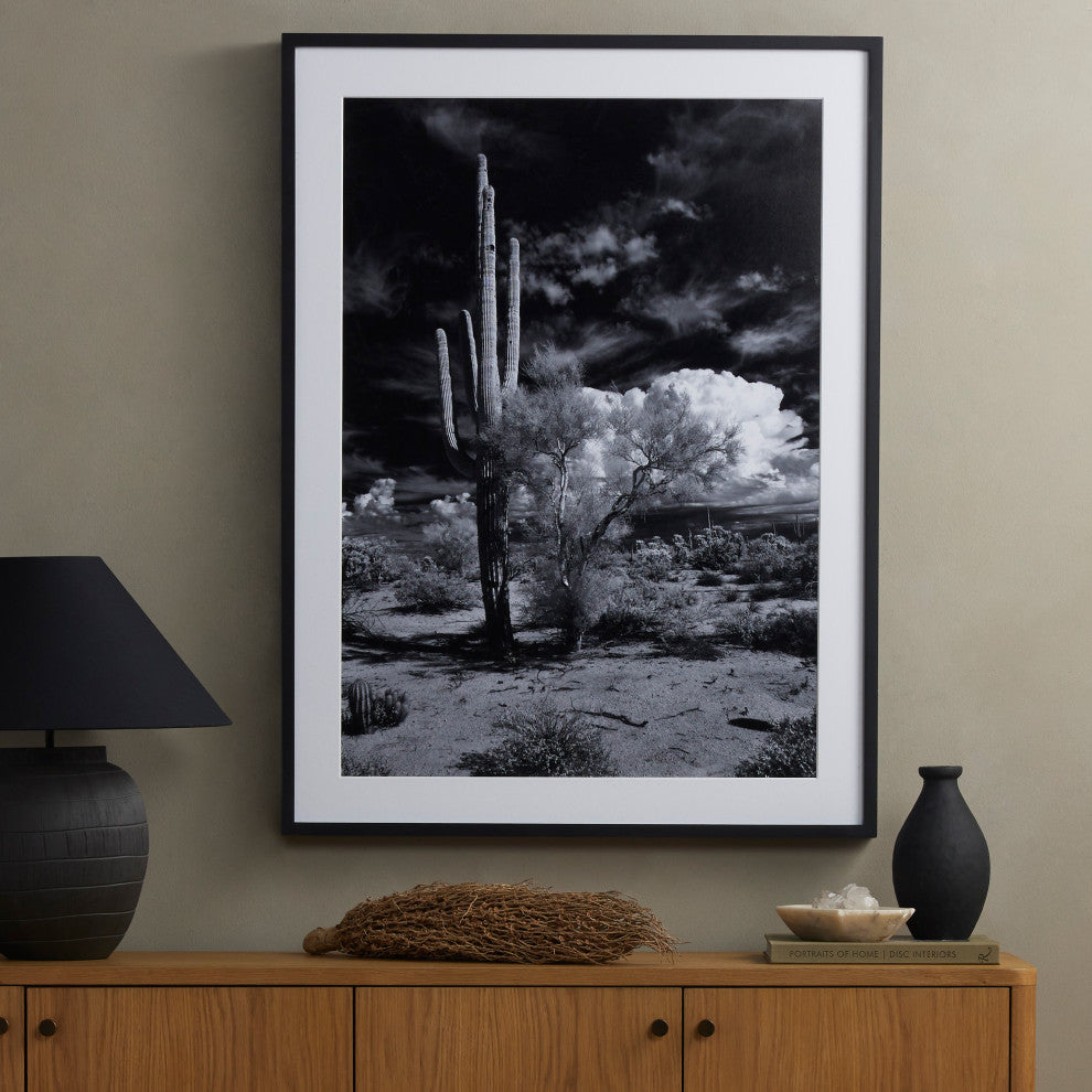 Sonoran Desert By Getty Images