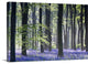 "Bluebell Vision" Wrapped Canvas Art Print, 48"x32"x1.5"