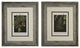 Original Vintage 1925 Botanical Fern Framed Prints, Set of 2