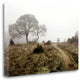 "Oak Tree - 25" By Alan Blaustein, Giclee Print on Gallery Wrap Canvas