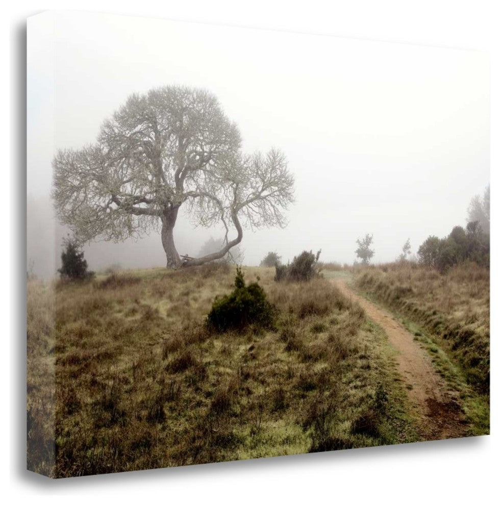 "Oak Tree - 25" By Alan Blaustein, Giclee Print on Gallery Wrap Canvas