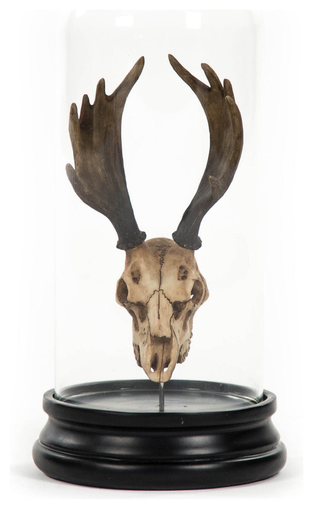 Deer Skull Statue With Cover
