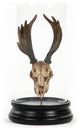 Deer Skull Statue With Cover