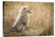 "Watching You Mom" Stretched Canvas Giclee by Faisal Alnomas, 16"x11"