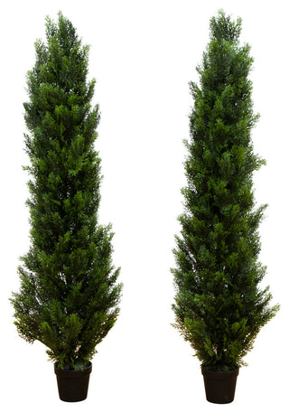 Primary product shot: two topiary trees shown clearly on a white background with full visibility and no overlays.