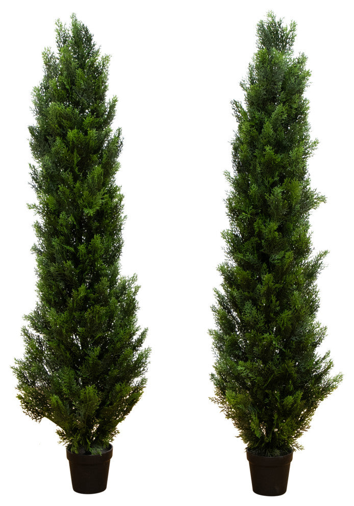 Primary product shot: two topiary trees shown clearly on a white background with full visibility and no overlays.