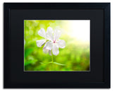 PIPA Fine Art 'Beauty of the Forest Floor' Matted Framed Art, 20x16