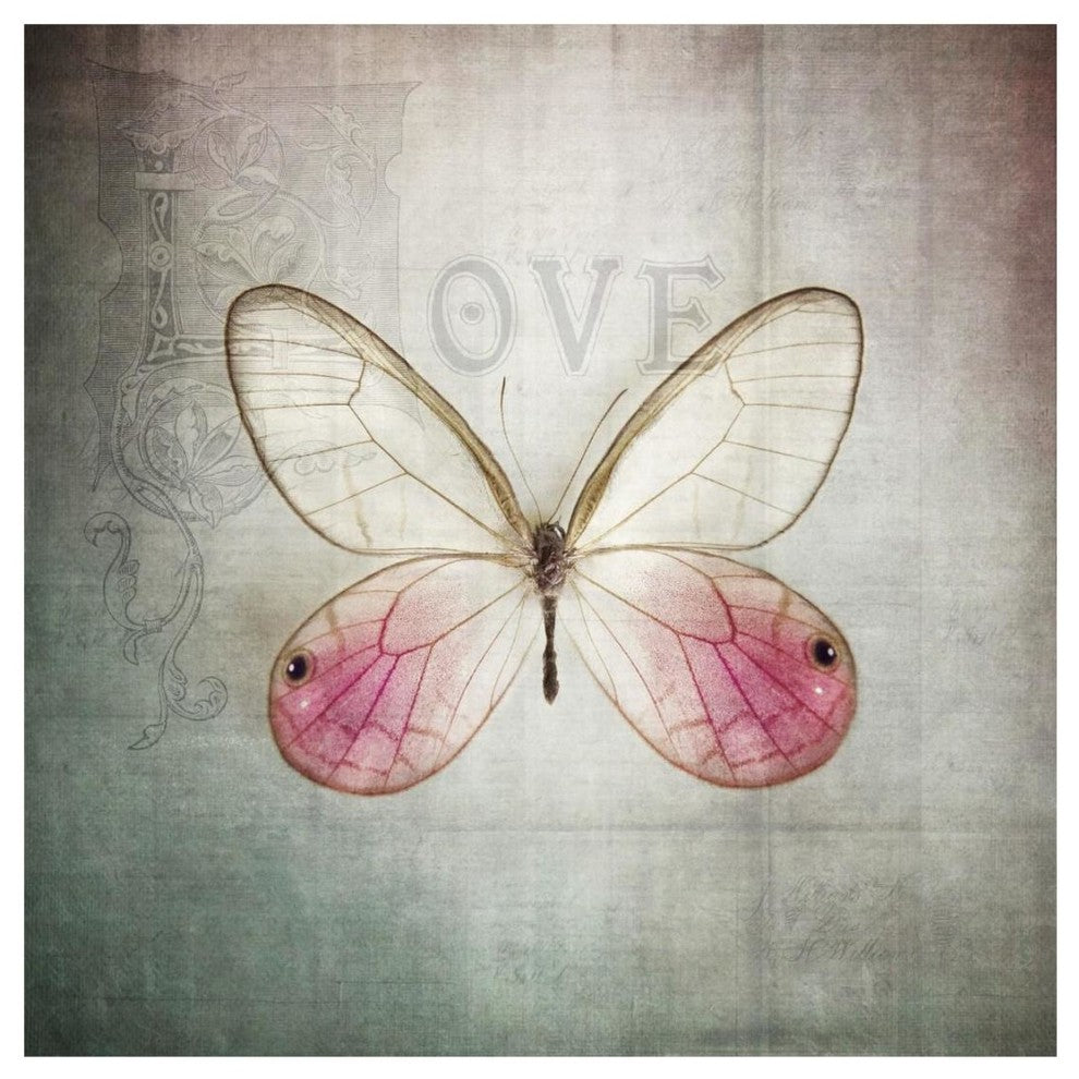 "French Butterfly I" Digital Paper Print by Debra Van Swearingen, 20"x20"