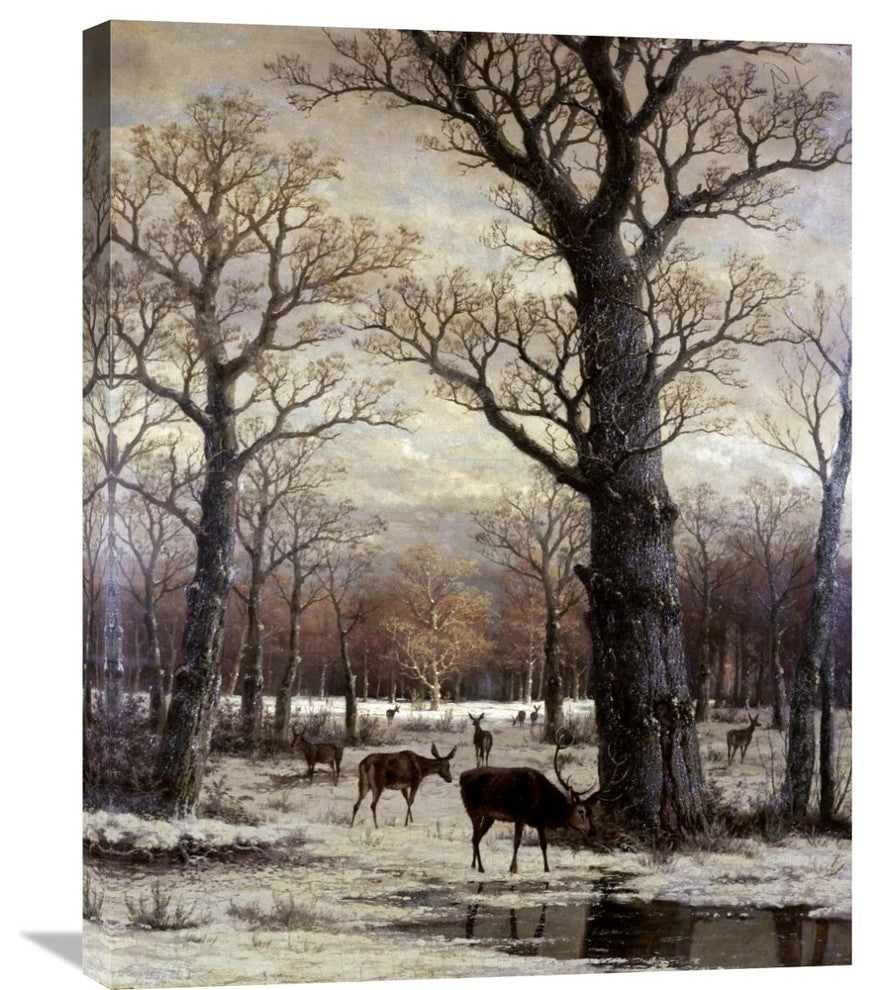 "Deer Foraging, Winter" Stretched Canvas Giclee, 24"x30"