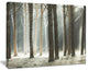"Maritime Pine Tree Forest With Rays" Forest Wall Art, 20"x12"
