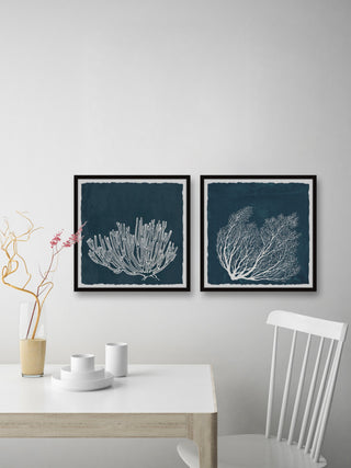 Tropical Corals Diptych, 2-Piece Set, 18x18 Panels