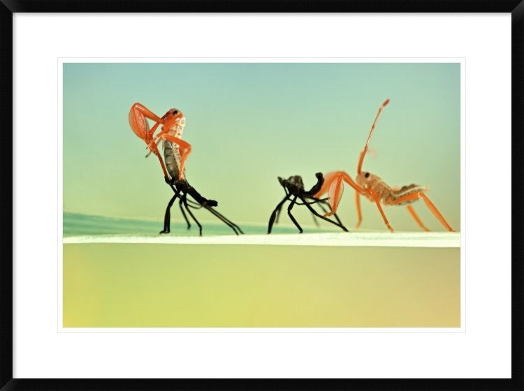"Re-Born" Framed Digital Print by Donald Jusa, 32x24"