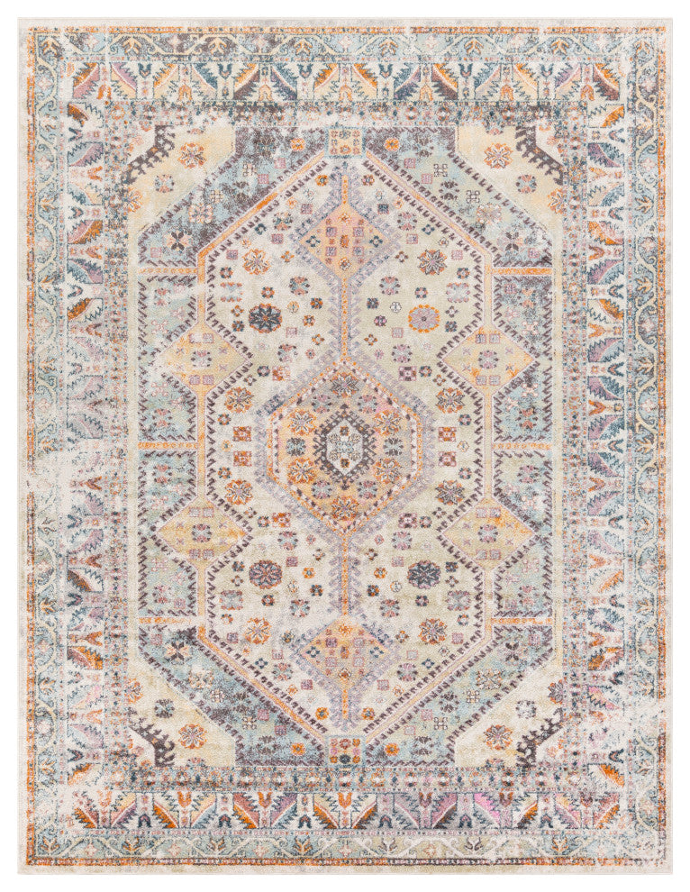 New Mexico NWM-2309 Rustic Colorful/Gray 7'10"x10'3" Area Rug