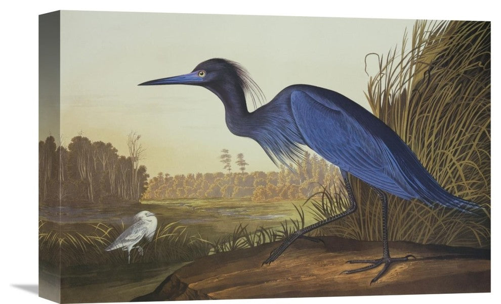 "Blue Crane Or Heron" Artwork, 18" x 12"
