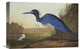 "Blue Crane Or Heron" Artwork, 18" x 12"