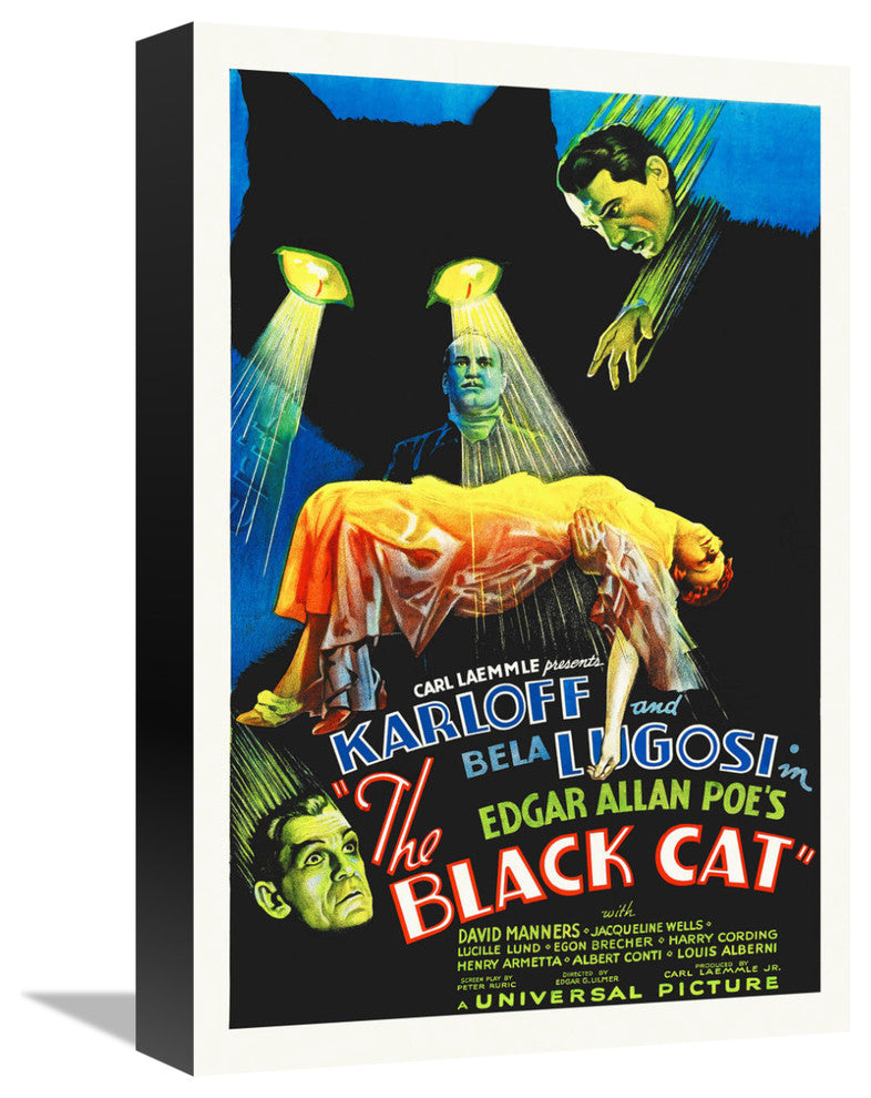 "The Black Cat" Stretched Canvas Giclee by Hollywood Photo Archive, 11x16"