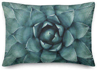 Teal Succulent 14x20 Indoor/Outdoor Pillow