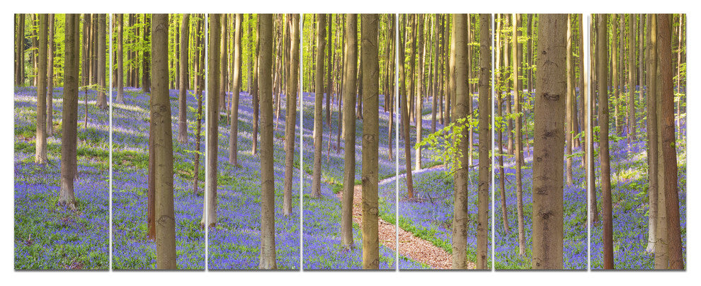 Blooming Bluebell Forest Panorama, Landscape Canvas Art Print, 83"x32", 7 Panels