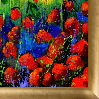 Red poppies 451150