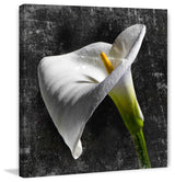 "White Callas" Painting Print on Canvas by Aryai