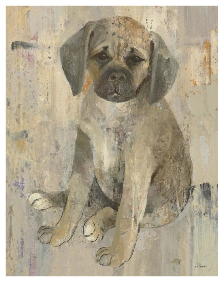 "Paco v2" Digital Paper Print by Albena Hristova, 22"x26"
