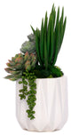Succulent Arrangement in White Metal Pot