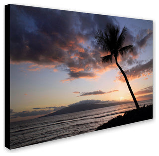 'Palm Tree Maui' Canvas Art by Pierre Leclerc