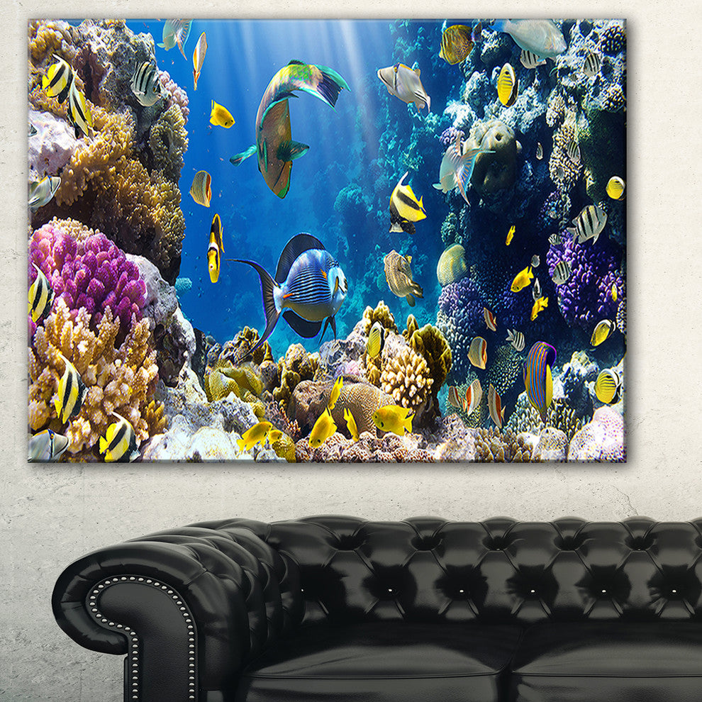 "Fish in Coral Reef" Seascape Photography Canvas Print, 40"x30"