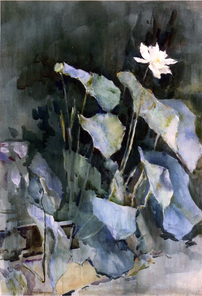 Ralph Wormsley Curtis White Lotus, Gallery Wrapped Canvas Print, 18"x27"