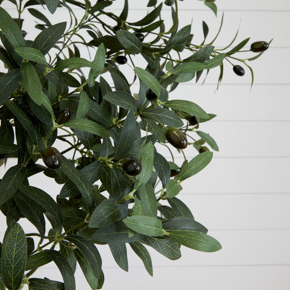 Close-up of leaves/olive fruit on a white background; cropped view on white.