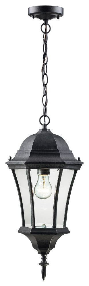 Wakefield Collection Outdoor Chain Light in Black Finish