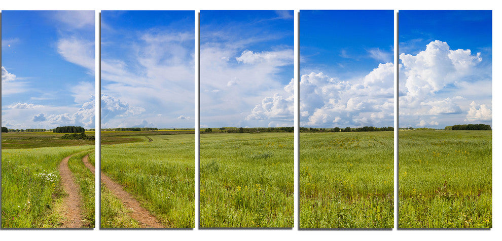 Road in Field with Green Grass, Landscape Canvas Art Print, 60"x28", 5 Panels