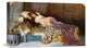 "Sleeping Beauty" Stretched Canvas Giclee by William A. Breakspeare, 22"x13"