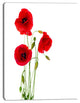 Isolated Red Poppy Flowers, Floral Canvas Art Print, 28"x60"