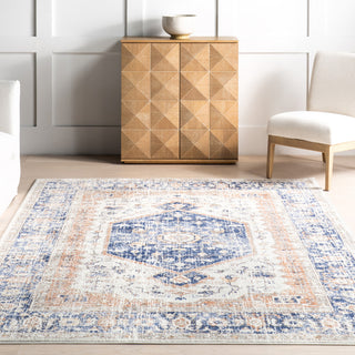 Nuloom Vintage Jacquie Floral Traditional Area Rug, Blue 2'8"x8'