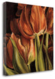 "Color Harmony I" By Linda Thompson, Giclee Print on Gallery Wrap Canvas
