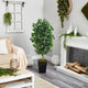 5' Ficus Artificial Tree, Black Metal Planter