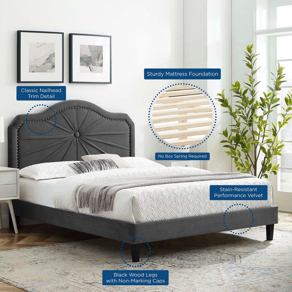 Platform Bed Frame, King Size, Velvet, Dark Gray, Modern Contemporary