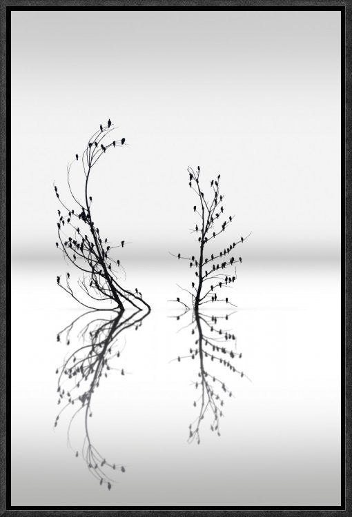"Trees With Birds (2)" Framed Canvas Giclee by George Digalakis, 13x19"