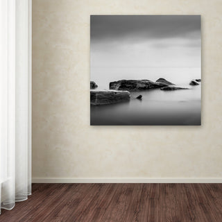 'Calm' Canvas Art by Dave MacVicar