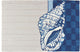 Homefires Conch Shell on Checks