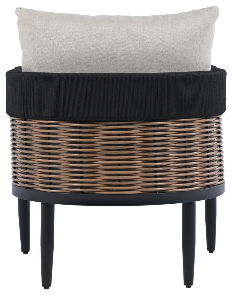 Safavieh Harrison Indoor-Outdoor Chair, Set of 2, Black/Taupe