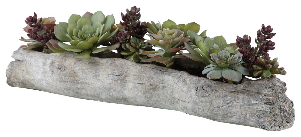 Uttermost Charita Lush Succulents