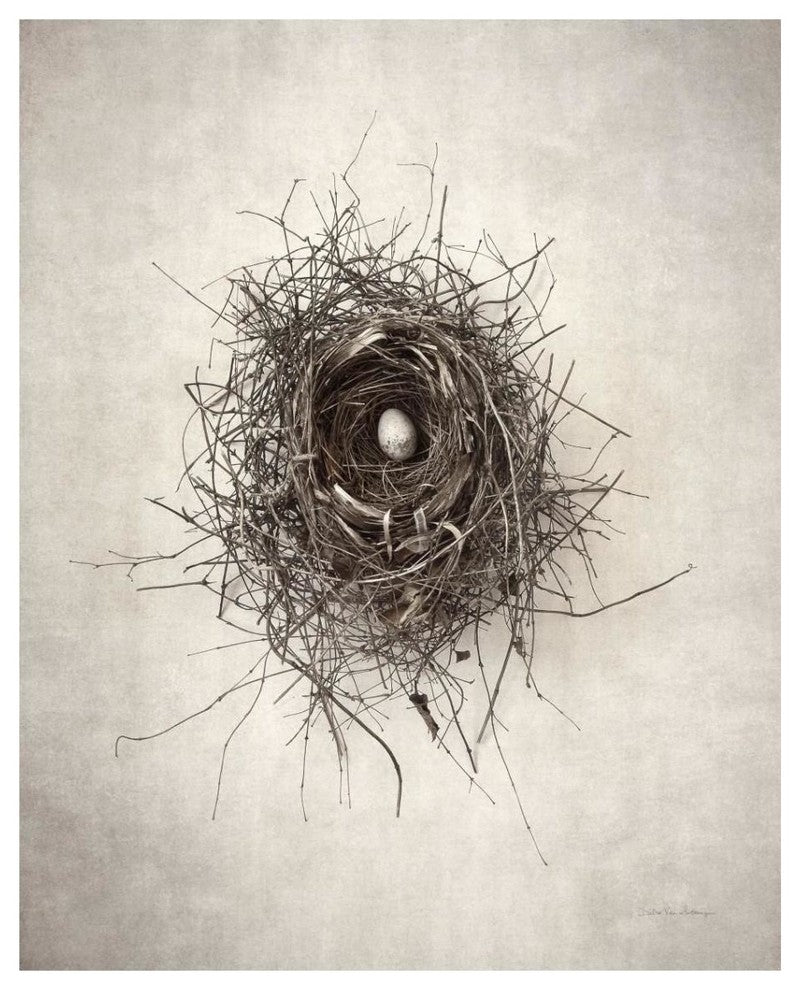 "Nest I" Digital Paper Print by Debra Van Swearingen, 30"x37"